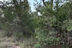 Lot 4 Spruce St, Paige, TX 78659 - Photo 1
