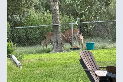 309 Kings Canyon Drive S, Cedar Park, TX 78613 - Photo 23