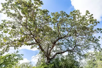 1350 Cattlemens Row, Lockhart, TX 78644 - Photo 25