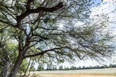 1350 Cattlemens Row, Lockhart, TX 78644 - Photo 19