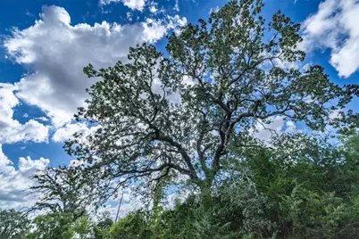 1350 Cattlemens Row, Lockhart, TX 78644 - Photo 11