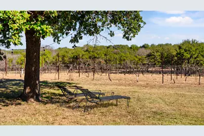 25711 Hamilton Pool Road, Round Mountain, TX 78663 - Photo 21