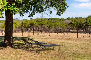 25711 Hamilton Pool Rd, Round Mountain, TX 78663 - Photo 21