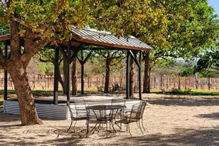 25711 Hamilton Pool Rd, Round Mountain, TX 78663 - Photo 19