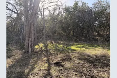 244 Buckskin Pass, Driftwood, TX 78619 - Photo 13