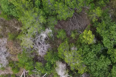 13910 Saskatchewan Drive, Austin, TX 78734 - Photo 7