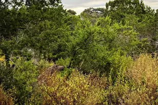 13910 Saskatchewan Dr, Austin, TX 78734 - Photo 1