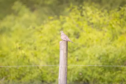 Tbd US Highway 77 S, Giddings, TX 78942 - Photo 7