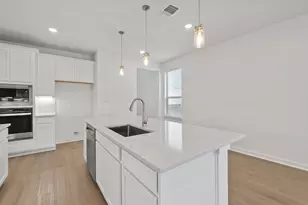 1700 Spg Mountain Cv, Georgetown, TX 78628 - Photo 11