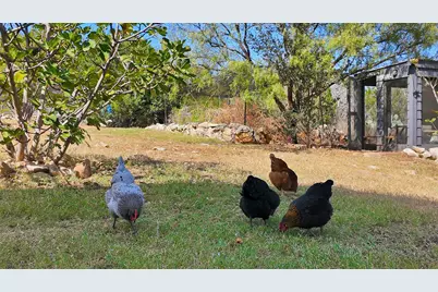 4110 Tyx Trail, Spicewood, TX 78669 - Photo 35