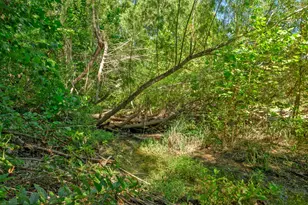 12716 Pauls Valley Rd, Austin, TX 78737 - Photo 13