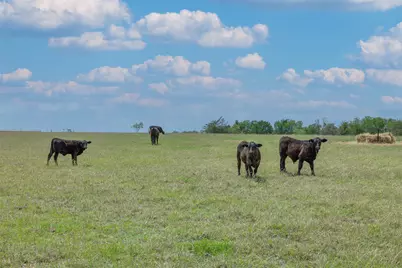 2232 Fm 975, Caldwell, TX 77836 - Photo 31