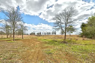 2247 Old Hwy 20, McDade, TX 78650 - Photo 31