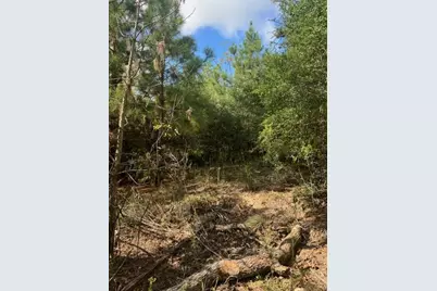 Lot 1339 Tahitian Drive, Bastrop, TX 78602 - Photo 1