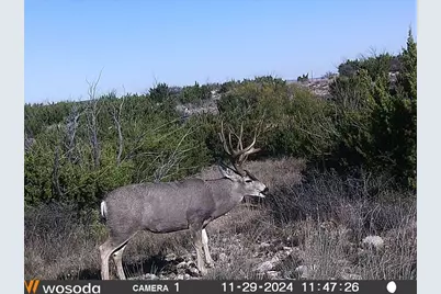 906 Cr 235, Aspermont, TX 79502 - Photo 37