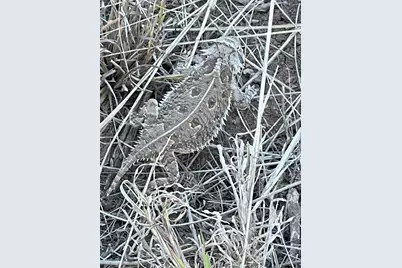 906 Cr 235, Aspermont, TX 79502 - Photo 33