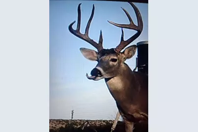 906 Cr 235, Aspermont, TX 79502 - Photo 35