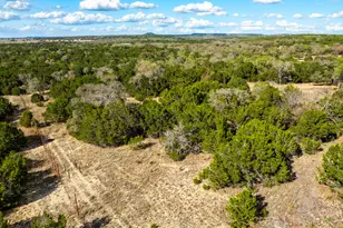 Lot 194 Private Road 4718, Kempner, TX 76539 - Photo 11
