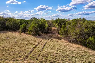 Lot 194 Private Road 4718, Kempner, TX 76539 - Photo 17