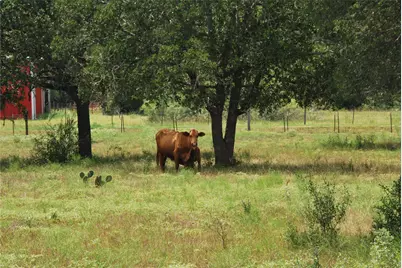 Tbd Lot 24 N State Highway 95, Flatonia, TX 78941 - Photo 7