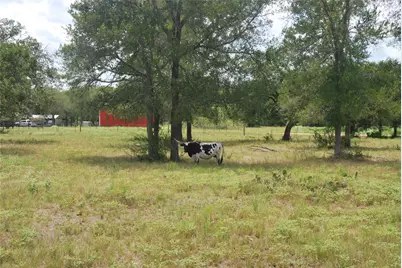 Tbd Lot 24 N State Highway 95, Flatonia, TX 78941 - Photo 21