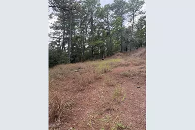 Lot 69 and 70 Taro Court, Bastrop, TX 78602 - Photo 1