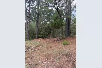 Lot 69 and 70 Taro Court, Bastrop, TX 78602 - Photo 3