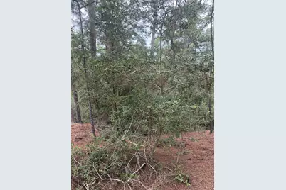 Lot 69 and 70 Taro Court, Bastrop, TX 78602 - Photo 5