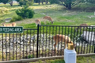 20501 Houston Cove, Lago Vista, TX 78645 - Photo 37