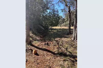 W28055 Palomino, Horseshoe Bay, TX 78657 - Photo 5