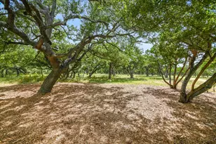 900 Longhorn Trail, Wimberley, TX 78676 - Photo 17