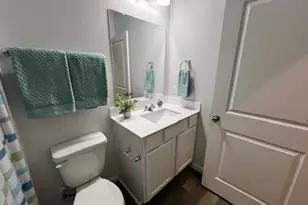 221 Arabian Colt Dr, Georgetown, TX 78626 - Photo 23