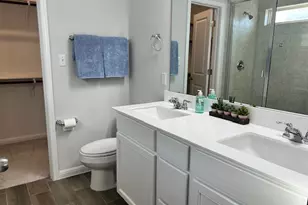 221 Arabian Colt Dr, Georgetown, TX 78626 - Photo 17