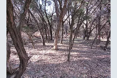 10784 Highview Drive, Belton, TX 76513 - Photo 9