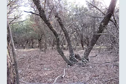 10784 Highview Drive, Belton, TX 76513 - Photo 13