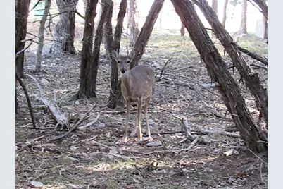 10784 Highview Drive, Belton, TX 76513 - Photo 11