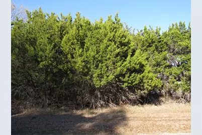 10784 Highview Drive, Belton, TX 76513 - Photo 5