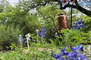 6401 Woodcrest Dr, Austin, TX 78759 - Photo 3