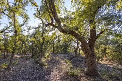 130 Panorama Drive, Wimberley, TX 78676 - Photo 3