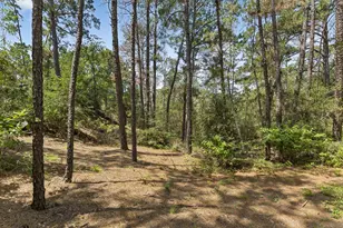 138 Papawai Dr, Bastrop, TX 78602 - Photo 39