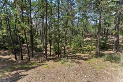138 Papawai Drive, Bastrop, TX 78602 - Photo 37