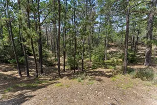 138 Papawai Dr, Bastrop, TX 78602 - Photo 37