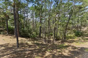 138 Papawai Dr, Bastrop, TX 78602 - Photo 37