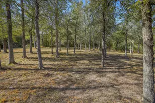 384 Pope Bend Road N, Cedar Creek, TX 78612 - Photo 29