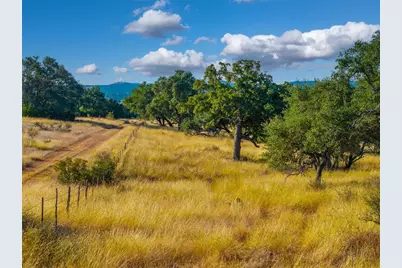 1547 Pressler Road, Fredericksburg, TX 78624 - Photo 13