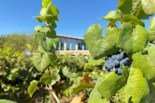 9361 W US Hwy 290, Hye, TX 78635 - Photo 35