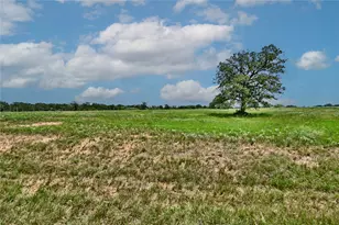 Tbd 1-13 (2 0 Acres) New Moon Ct, Red Rock, TX 78662 - Photo 1