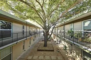 2021 Bluebonnet Ln, Austin, TX 78704 - Photo 19