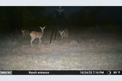1155 Fm 1600, Cameron, TX 76520 - Photo 7
