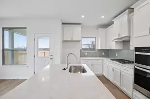 367 Elephant Island Loop, Kyle, TX 78640 - Photo 11